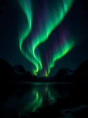 Polar Nights